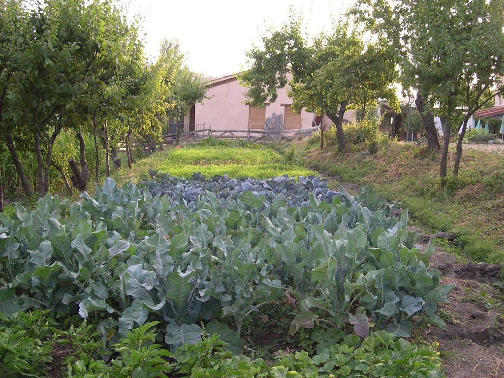 La Huerta De San Lorenzo Segovia Exterior photo